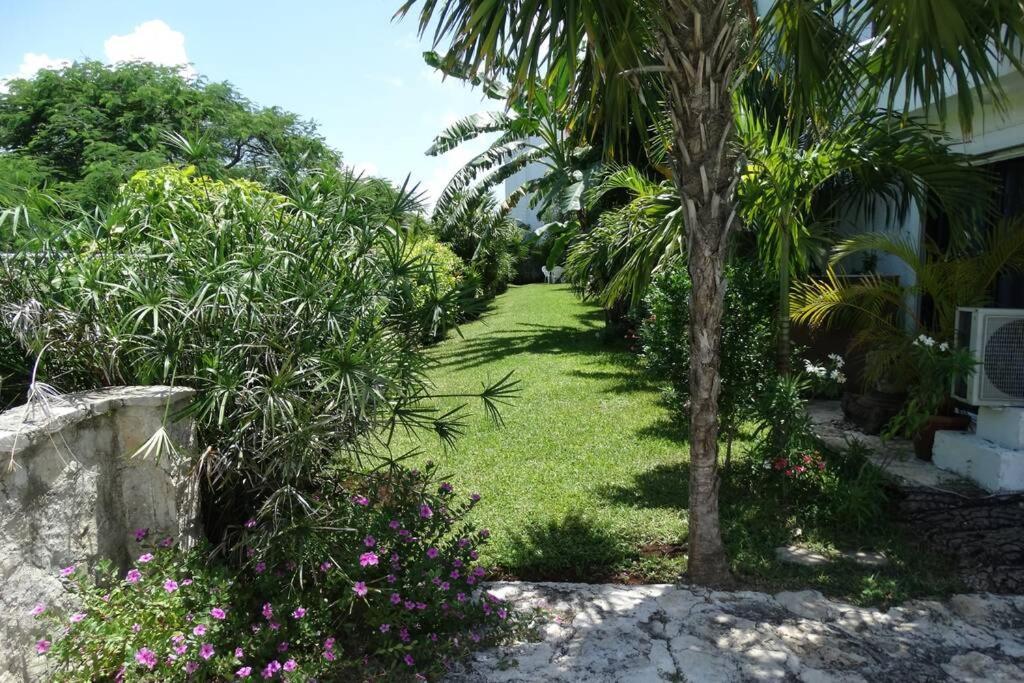 Apartmán Sole & Mare By Andiani Travel Cancún Exteriér fotografie